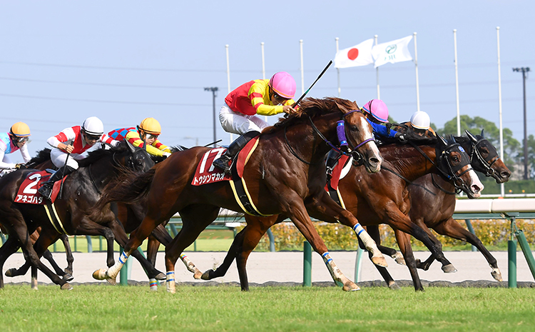 Toshin Macau トウシンマカオ